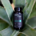 lions-mane - preview