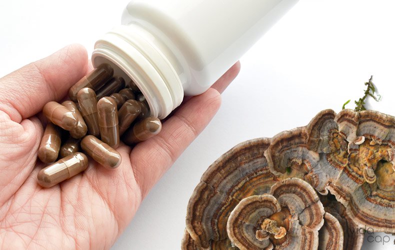 mushroom-supplements-benefits