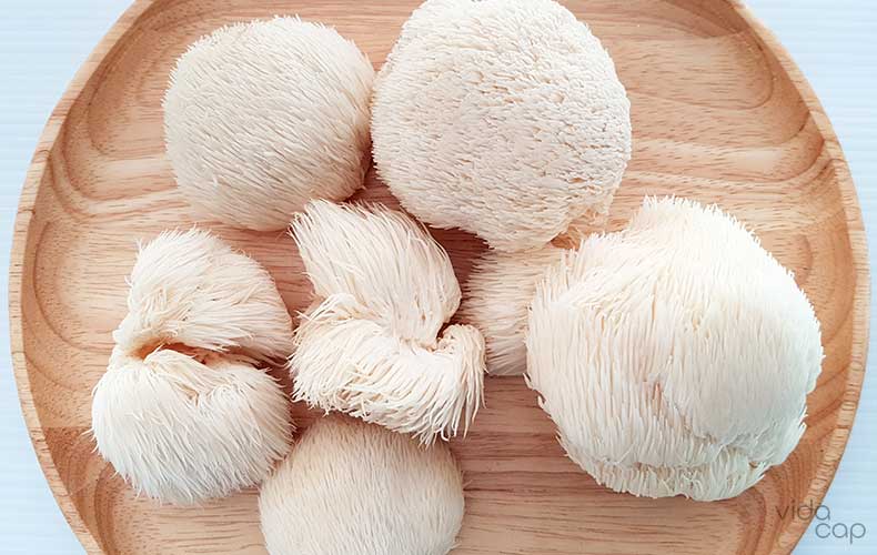 what-are-lions-mane-mushrooms