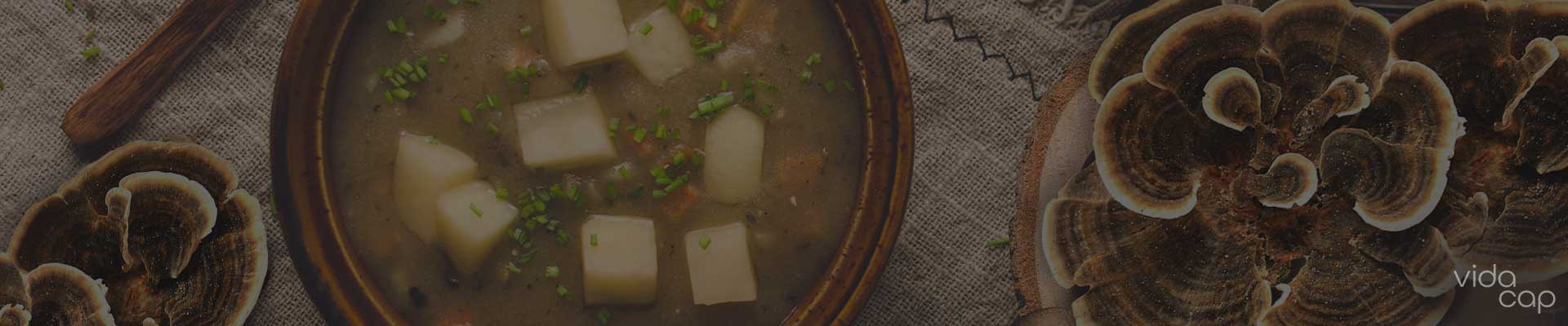 banner-turkey-tail-mushroom-soup-recipe