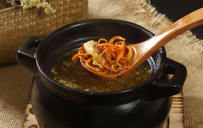 article-image-cordyceps-flower-pork-soup-recipe