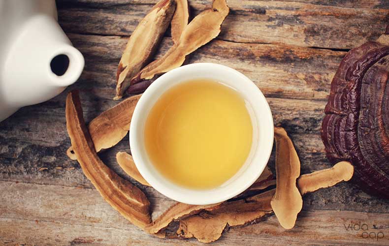 how-to-make-reishi-mushroom-tea