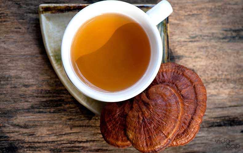article-image-how-to-make-reishi-mushroom-tea-2