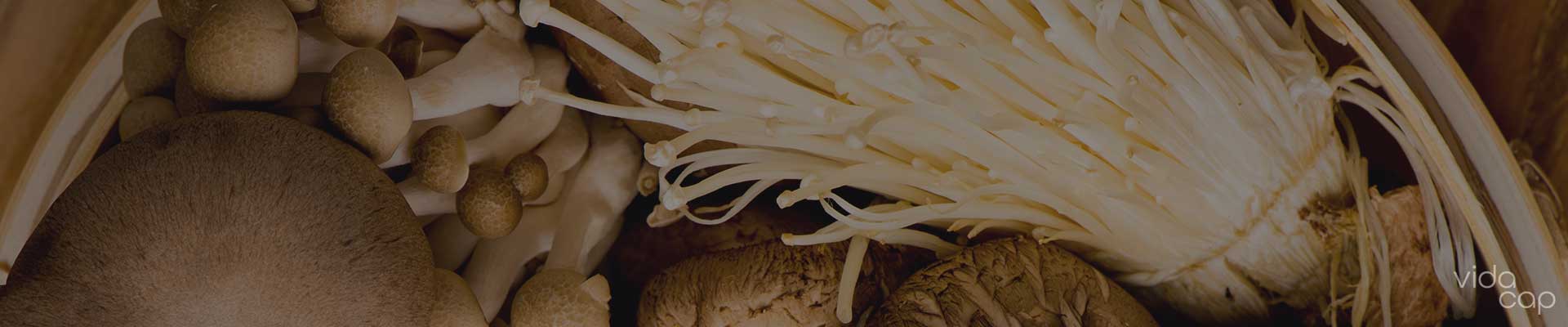 banner-can-mushrooms-improve-skin-and-hair-health