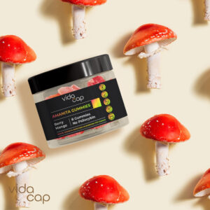 Amanita muscaria mushroom gummies - VidaCap