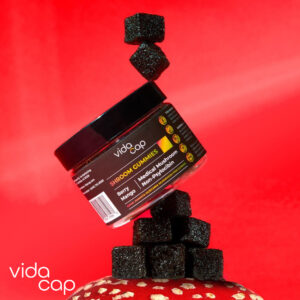 Amanita muscaria mushroom gummies - VidaCap