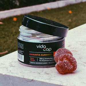 Amanita muscaria mushroom gummies - VidaCap