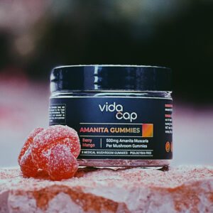 Amanita muscaria mushroom gummies - VidaCap