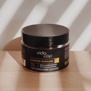 Amanita muscaria mushroom gummies - VidaCap